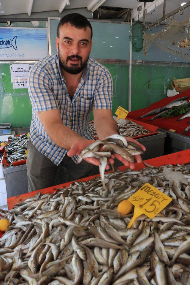 Karadeniz'de istavrit, mezgit ve barbun bereketi