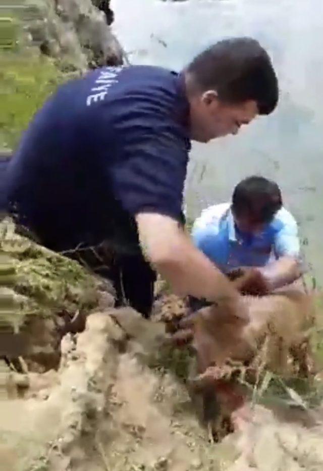 Su dolu inşaat alanına düşen köpek kurtarıldı