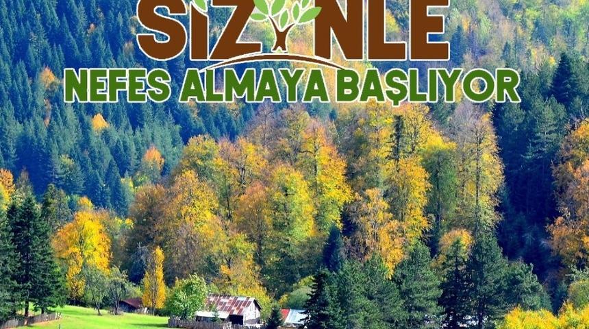 G&ouml;lyaka&rsquo;ya 1111 adet ıhlamur dikilecek