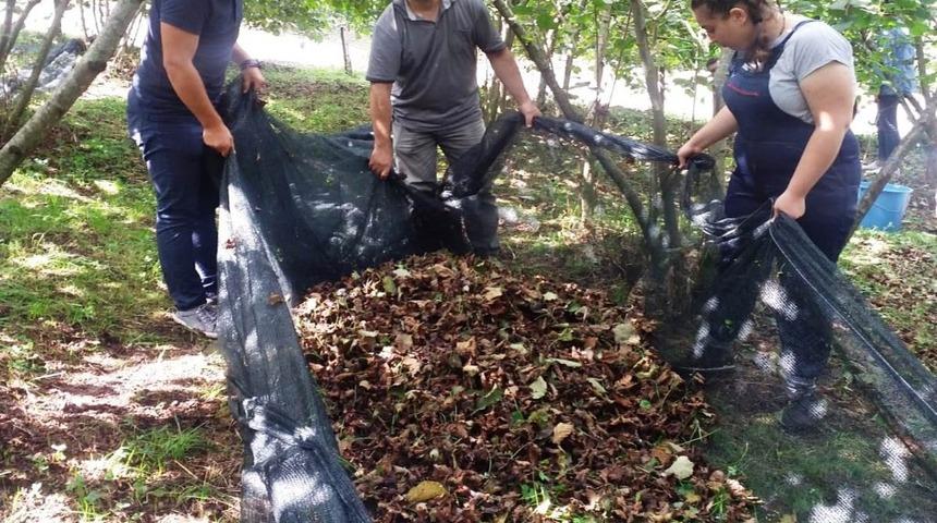 Bu y&ouml;ntem maliyeti y&uuml;zde 70, karı y&uuml;zde 3 artırdı