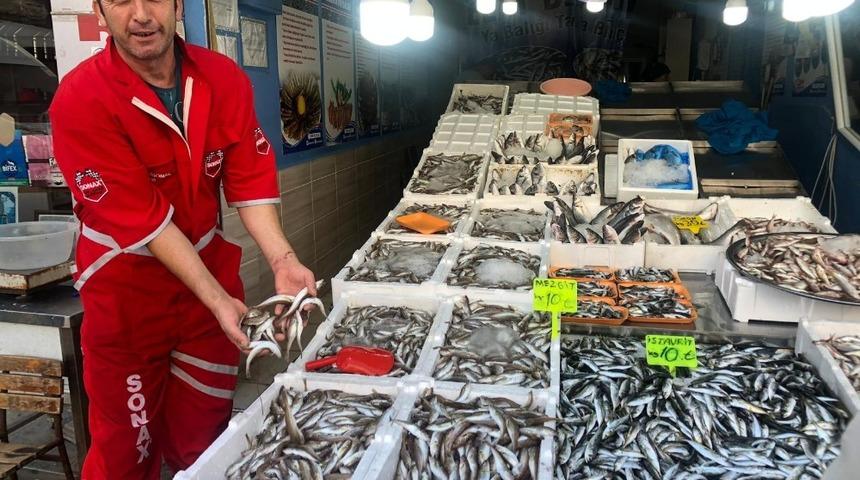 Mezgit ve İstavrit bolluğu tezgahları s&uuml;sledi