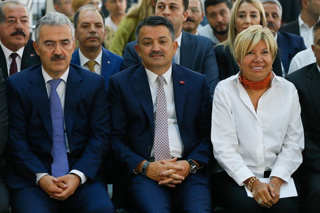 &Ccedil;ekirdeksiz kuru &uuml;z&uuml;mde m&uuml;dahale alımı başlıyor