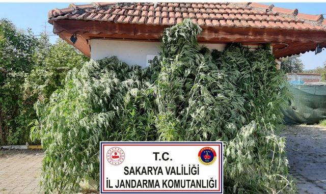 Sakarya’da Jandarmanın Ağustos ayı raporu: 67 tutuklama