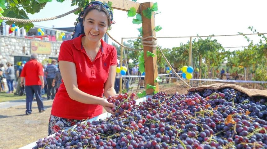 Buca&rsquo;da 3&rsquo;&uuml;nc&uuml; bağ bozumu coşkusu