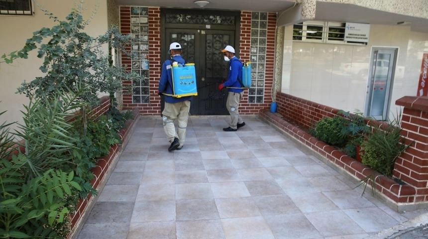 Haliliye&rsquo;de haşereyle m&uuml;cadele s&uuml;r&uuml;yor