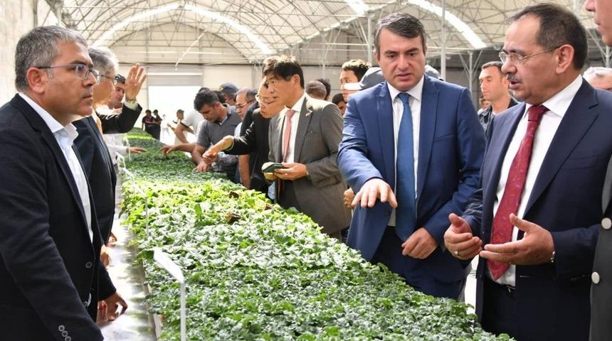 Japonlardan Bafra&rsquo;ya tarım yatırımı