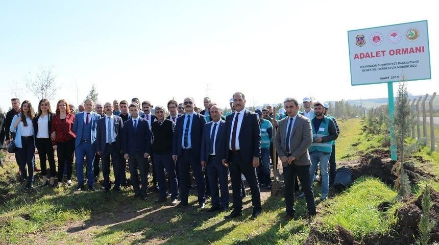 Diyarbakır&rsquo;da y&uuml;k&uuml;ml&uuml;ler &ccedil;evre temizliği yaptı