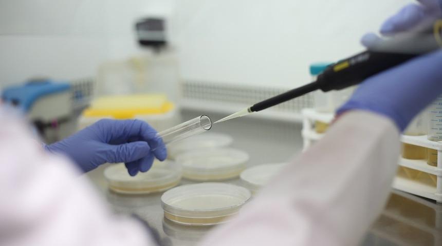 PA&Uuml;&rsquo;n&uuml;n 4 projesi birden T&Uuml;BİTAK tarafından destek aldı