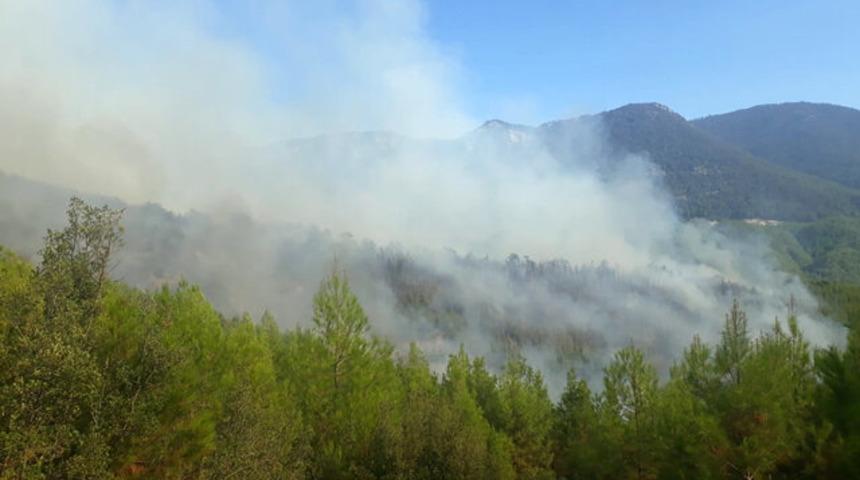 Antalya'da korkutan orman yangını