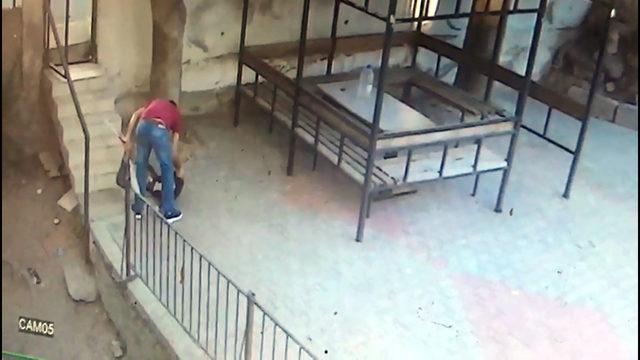 5 kediyi öldüren köpeğe sahibinden dayak kamerada 1