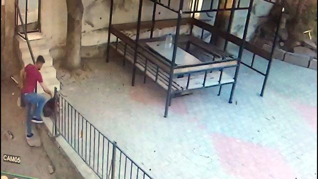 5 kediyi öldüren köpeğe sahibinden dayak kamerada 2