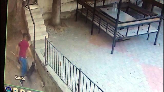 5 kediyi öldüren köpeğe sahibinden dayak kamerada 3