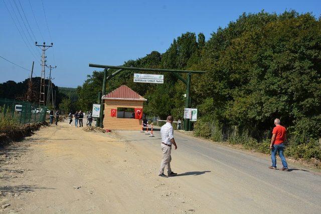 Hamsilos için tepki yürüyüşü