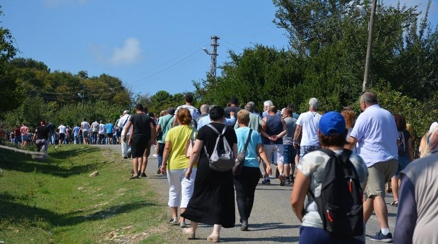 Hamsilos i&ccedil;in tepki y&uuml;r&uuml;y&uuml;ş&uuml;