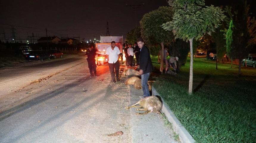 Otomobil koyun s&uuml;r&uuml;s&uuml;ne daldı: 2 yaralı, 10 koyun &ouml;ld&uuml;