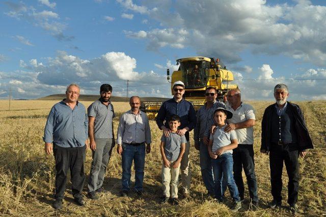 Kaymakam Coşkun nohut hasadına katıldı