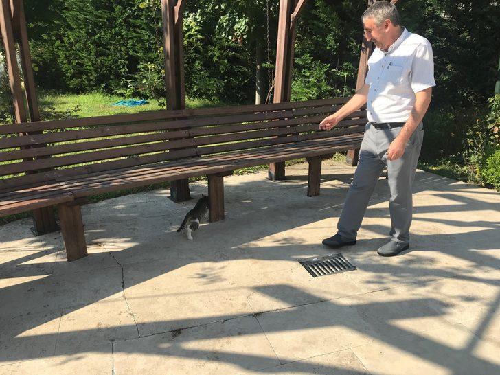 İstanbul'da cami cemaati kaybolan yavru kediler için seferber oldu G4