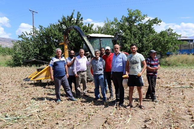 Silajlık mısır hasadı Erzincan’da başladı