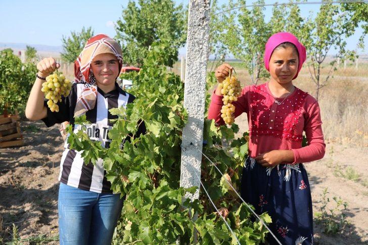 Yozgat’ta pekmez kazanları kaynamaya başladı G5