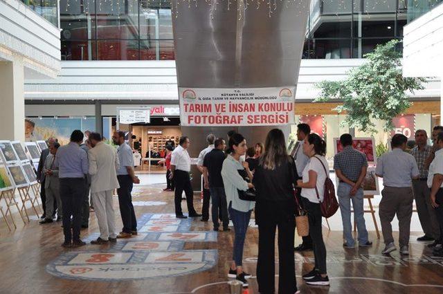 Kütahya’da ‘Tarım ve İnsan’ konulu fotoğraf sergisi açıldı