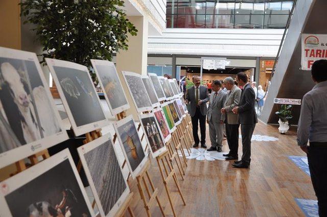 Kütahya’da ‘Tarım ve İnsan’ konulu fotoğraf sergisi açıldı