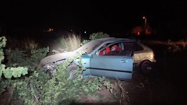 Gaziantep’te otomobil üzüm bağına girdi: 1 yaralı