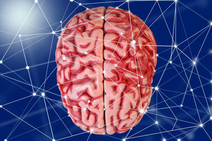 Kestanenin faydaları nelerdir? G4