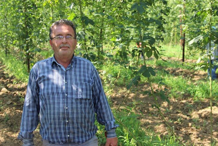 Şerbetçi otu şifa dağıtıyor G3