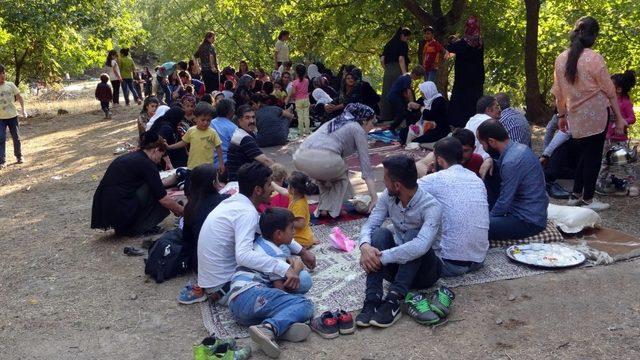 Yüksekova Dağlıca’da 400 kişilik piknik keyfi