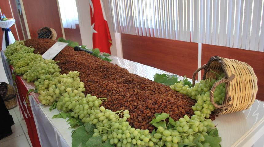 TARİŞ açıkladı, en düşük üzüm 10 lira
