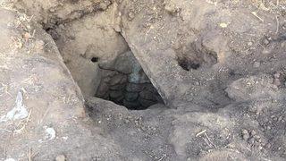 Mezarlıktan yükselen inleme sesleri Aydın'ı ayağa kaldırdı