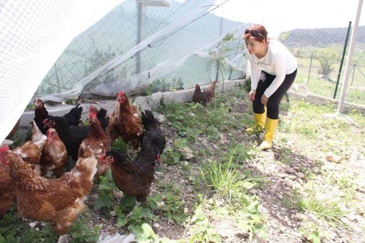 Çocuğunun yumurta alerjisi, anneye tavuk çiftliği kurdurdu G5