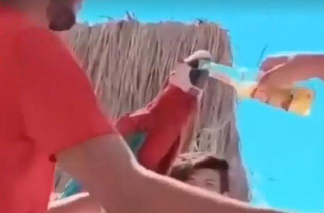 Didim'de papağana bira içirilmesine tepki