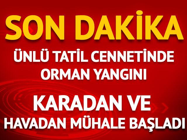 Mynet okey bağlantıyı yenile sorunu Microsoft Community