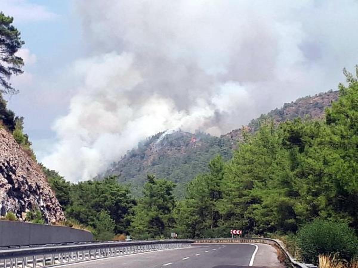 Marmaris'te orman yangını! 