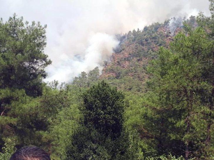 Marmaris'te orman yangını!  G4