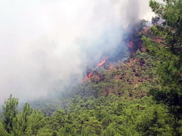 Marmaris'te orman yangını!  G5