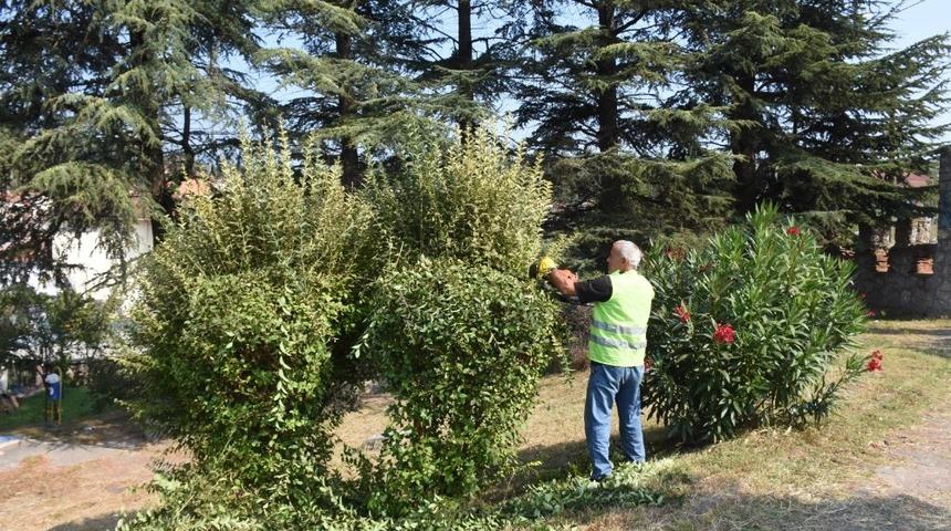 D&uuml;zce&rsquo;de peyzaj d&uuml;zenlemesi