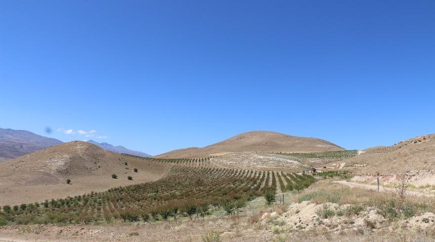 Erzincan&rsquo;da tarımsal &uuml;retim yapan tesisler ziyaret edildi