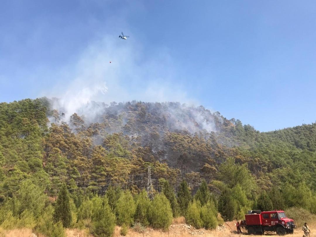 Marmaris&rsquo;teki orman yangını kontrol altına alındı