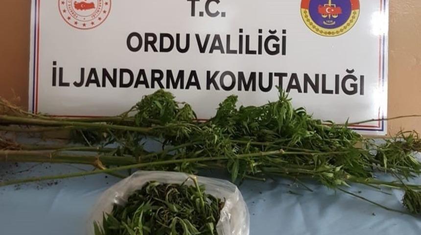 Ordu&rsquo;da uyuşturucuya ge&ccedil;it yok