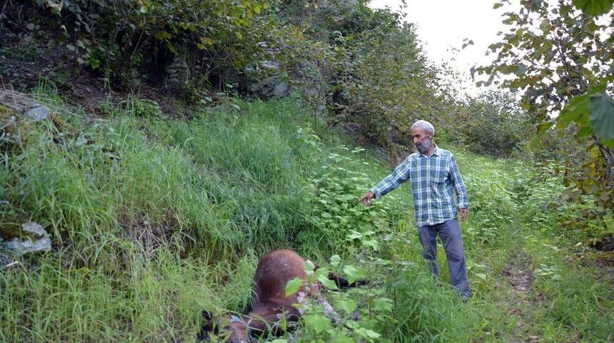 U&ccedil;urumdan yuvarlanan at telef oldu