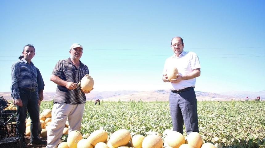 Erzincan&rsquo;da tarım sekt&ouml;r&uuml;ne yatırımlar b&uuml;y&uuml;k bir ivme kazanmaya başladı