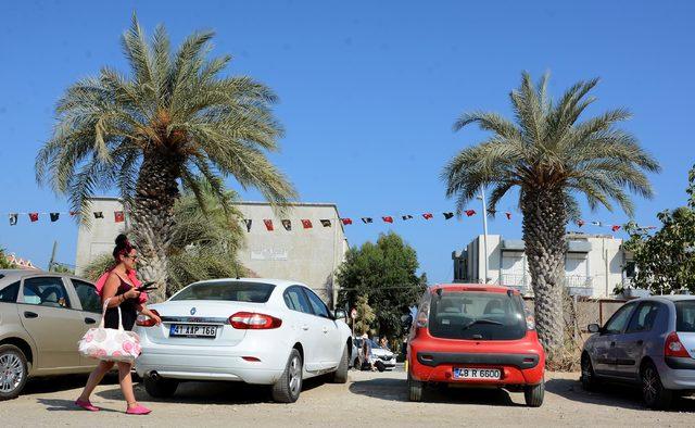 Dat&ccedil;a hurması ağa&ccedil;larına sahip &ccedil;ıkalım  &ccedil;ağrısı 3
