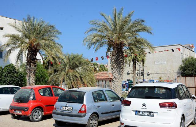  Dat&ccedil;a hurması ağa&ccedil;larına sahip &ccedil;ıkalım  &ccedil;ağrısı 4