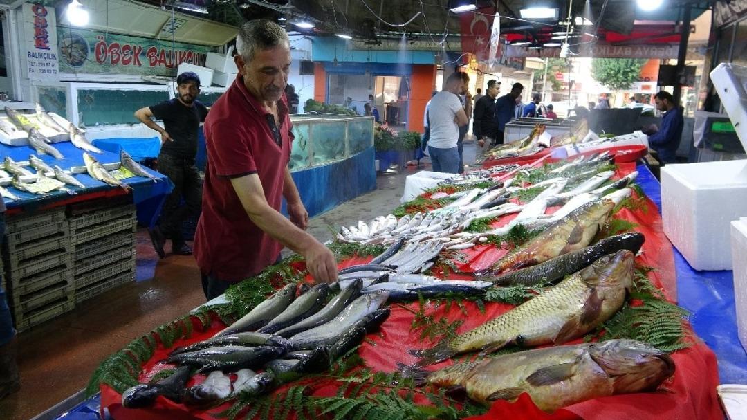 Tatlı su balıklarının rakibi, deniz balıkları Elazığ&rsquo;da yerini aldı