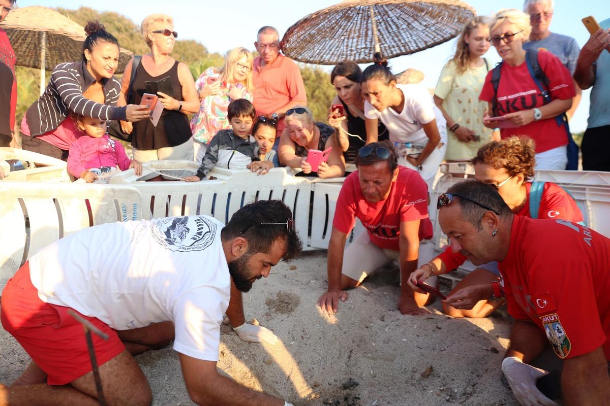 Bodrum'da ekipleri alarma ge&ccedil;iren olay! Caretta caretta yavruları ilk kez g&ouml;r&uuml;ld&uuml;...