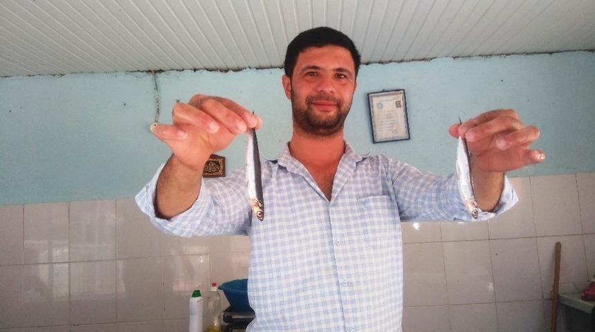 İri Hamsi balık&ccedil;ıların ve vatandaşların y&uuml;z&uuml;n&uuml; g&uuml;ld&uuml;rd&uuml;