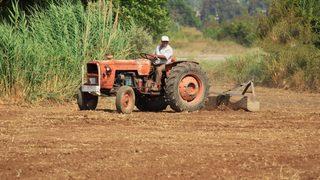 2021 Çiftçiye mazot ve gübre desteği ödeme tarihi: Çiftçiye gübre, mazot, tarımsal destek ödemesi ne zaman hangi tarihte verilecek?