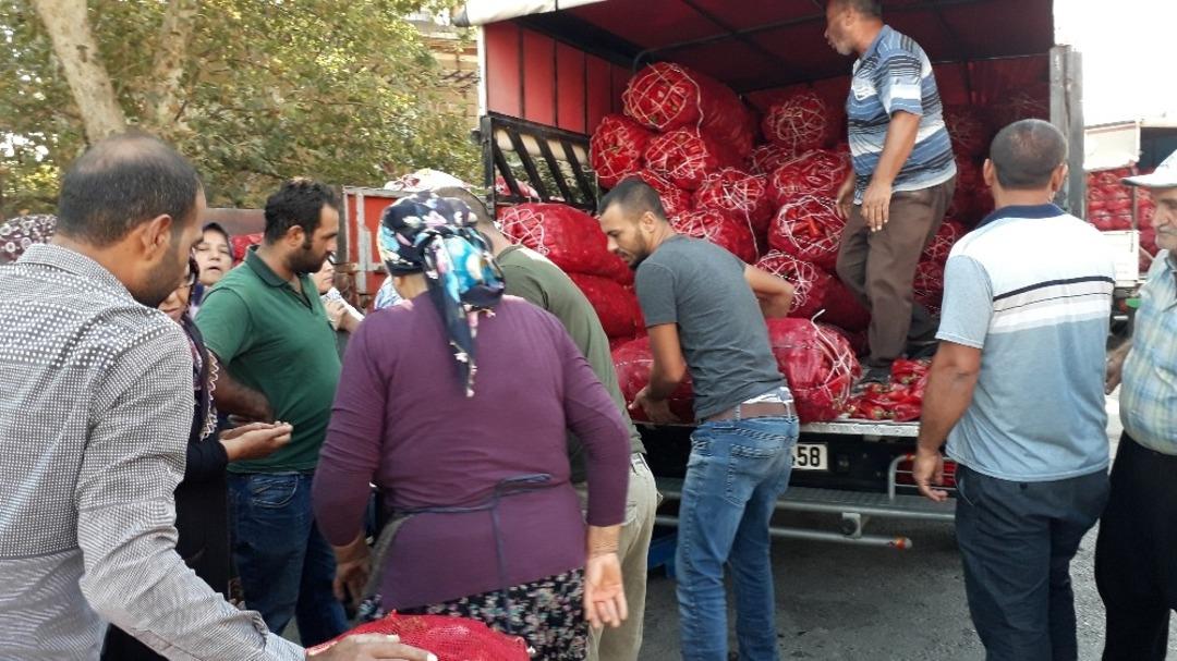 İslahiye&rsquo;de sal&ccedil;alık biber tezgahtaki yerini aldı